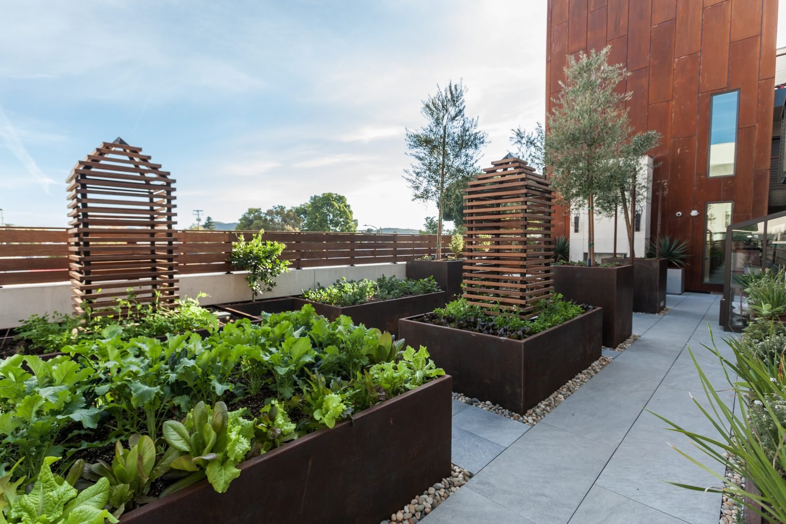 Visit An Edible Garden High Up On a Hotel Rooftop - Edible San Luis Obispo