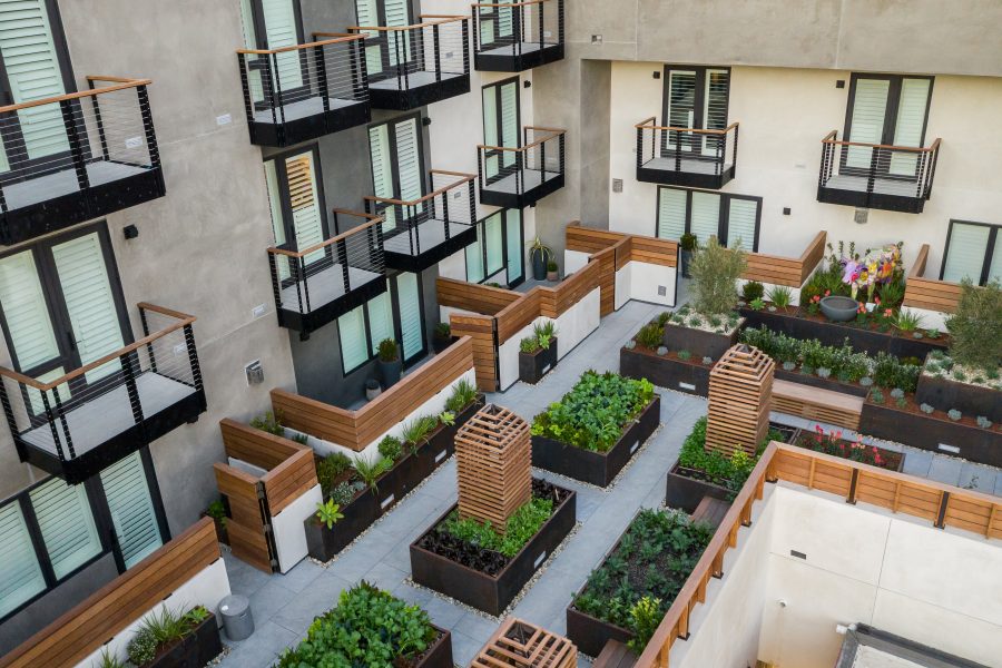 Visit An Edible Garden High Up On a Hotel Rooftop - Edible San Luis Obispo