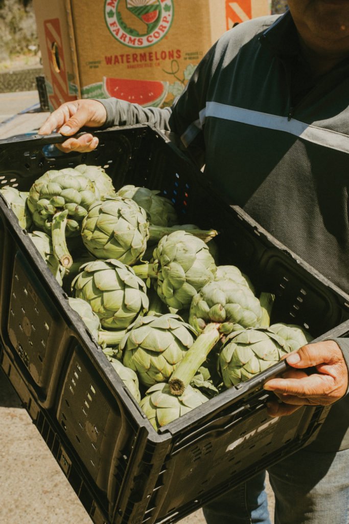 Hayashi Artichokes