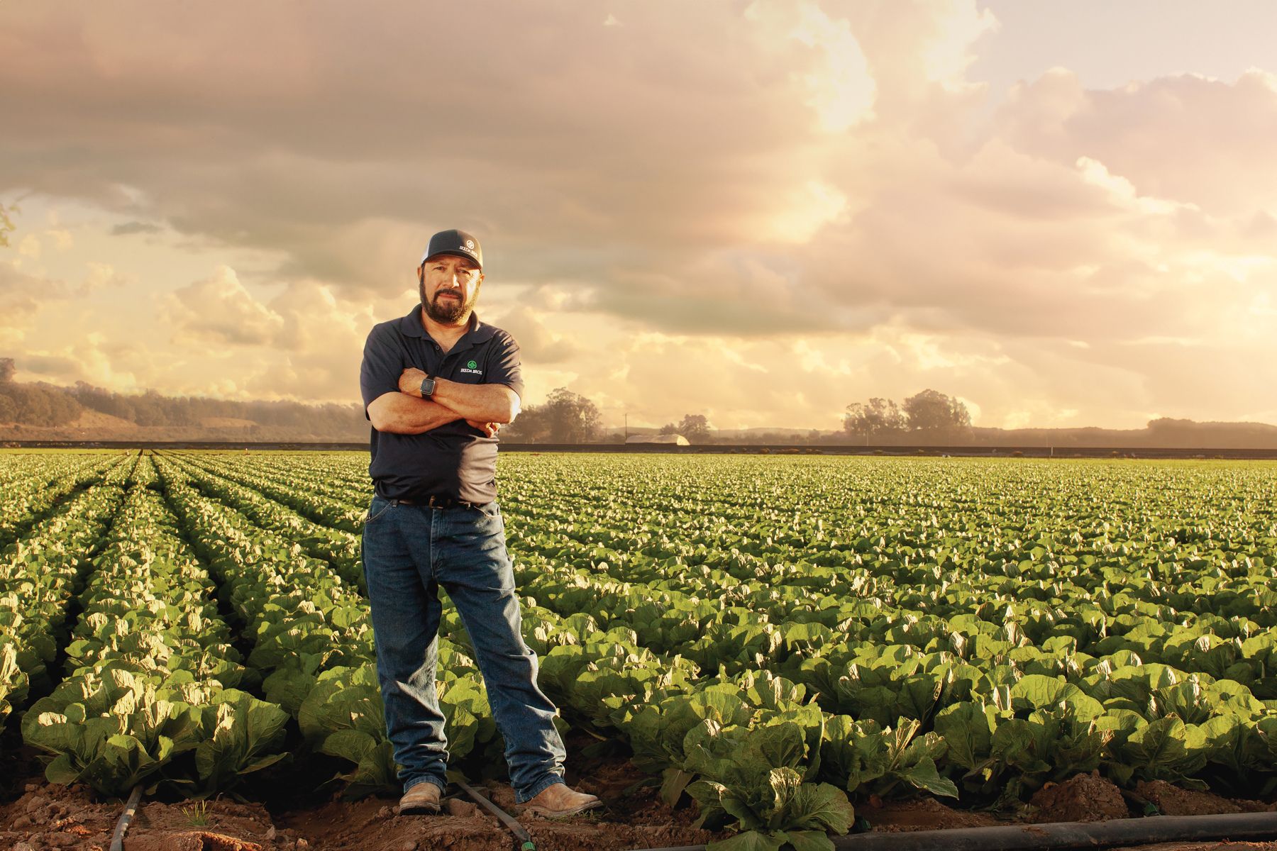 Hector Chavez of Ikeda Farms stands in the field.