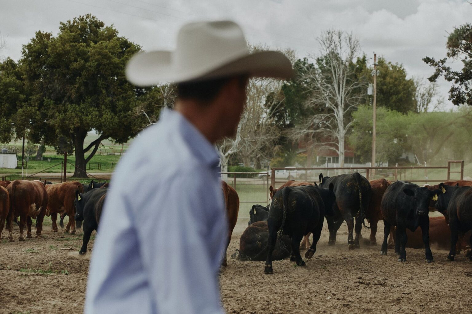 San Luis Obispo County Ranch Owner Continues Family Legacy at Avenales ...