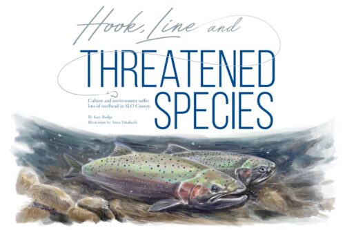 Hook Line and Threatened Species, illustration of steelhead fish