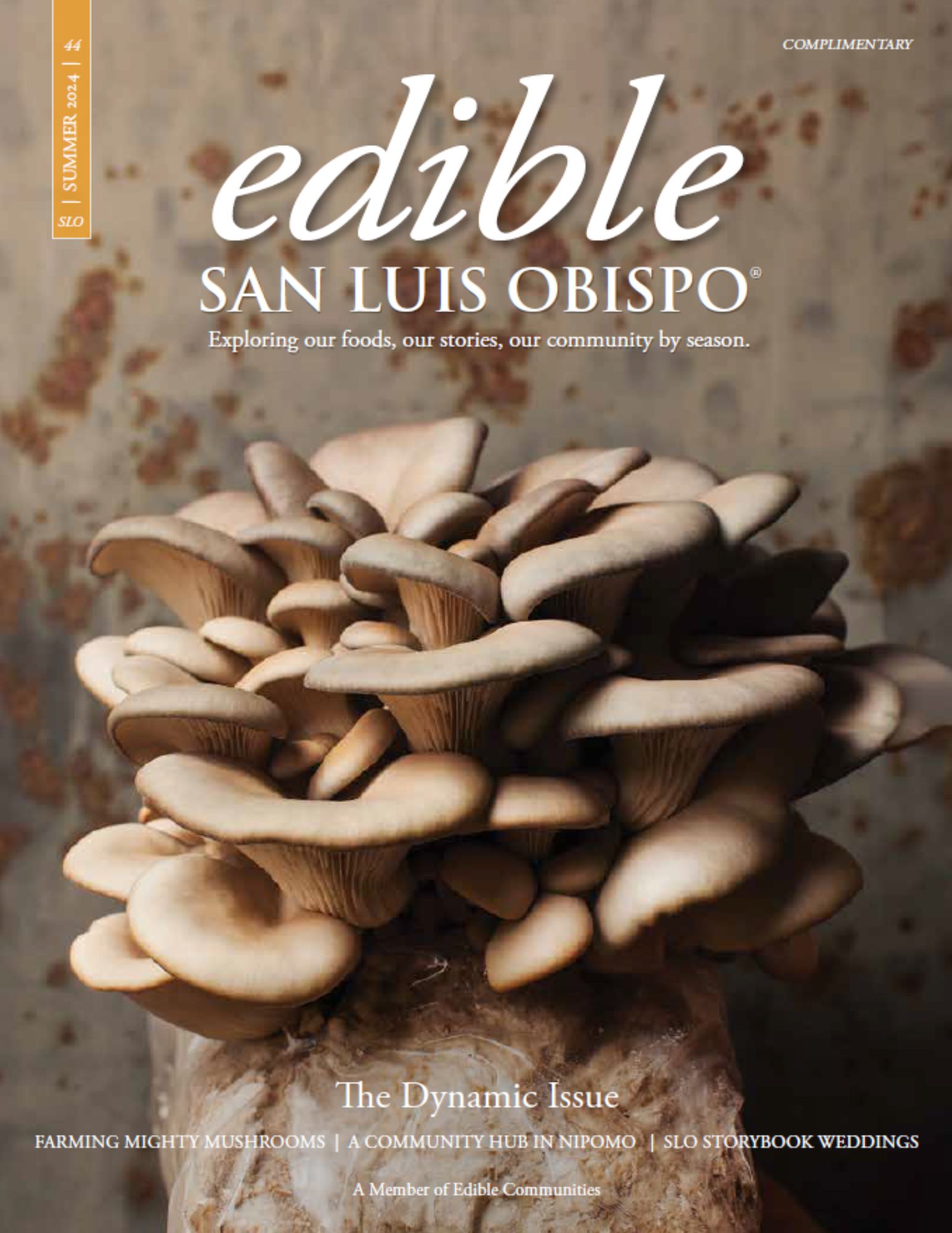 Edible SLO Cover, Dynamic Issue