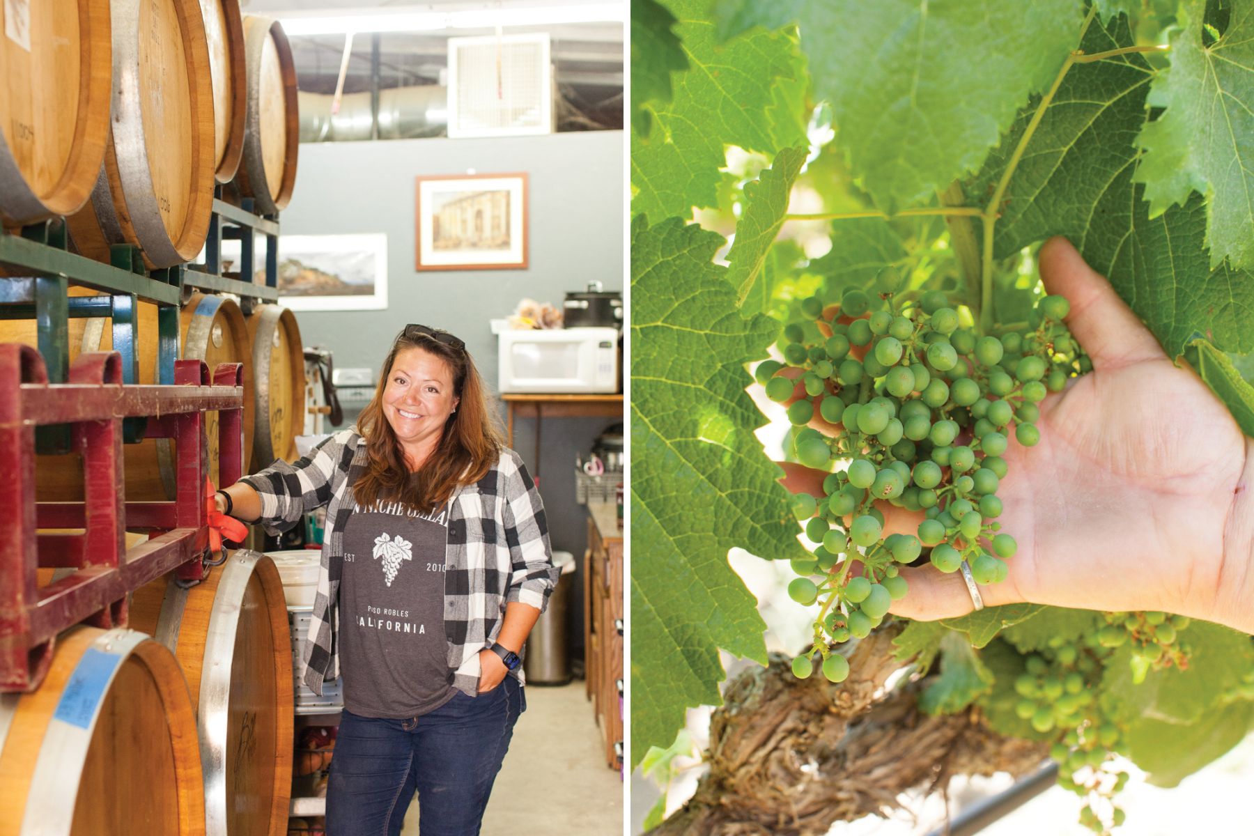 Photo of Melani Harding in the field and wine cellar