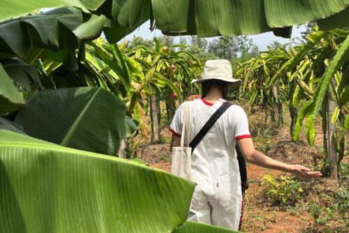 Photo of woman walking through nature