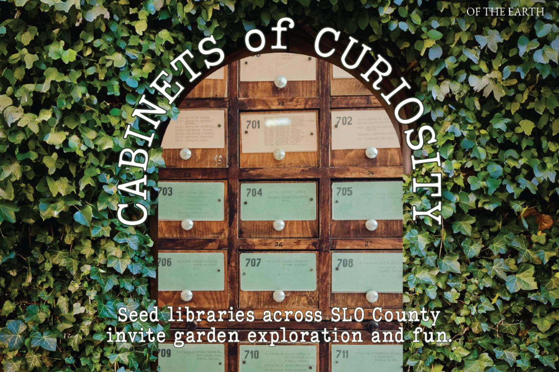 Cabinets of Curiosity