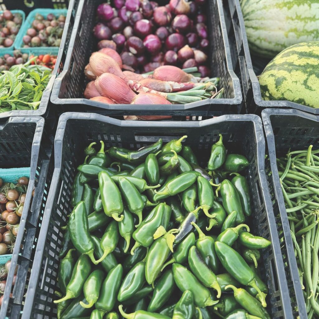 Photo of pea shoots