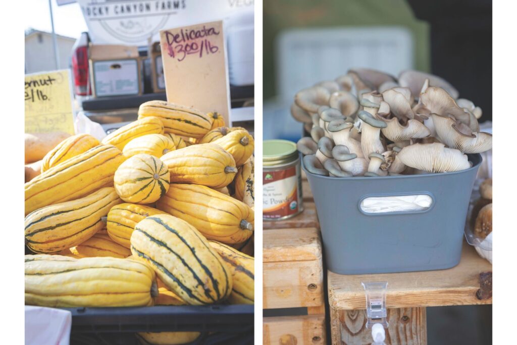 Photos of squash and mushrooms