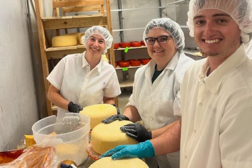 Students salt gouda cheese