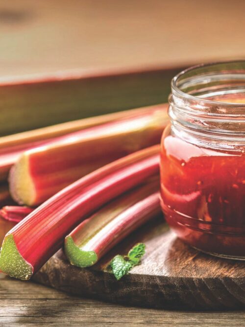 Spicy Rhubarb Jam