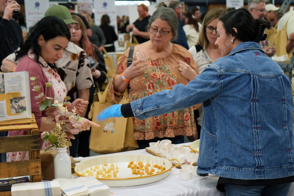 Photo of cheese samples