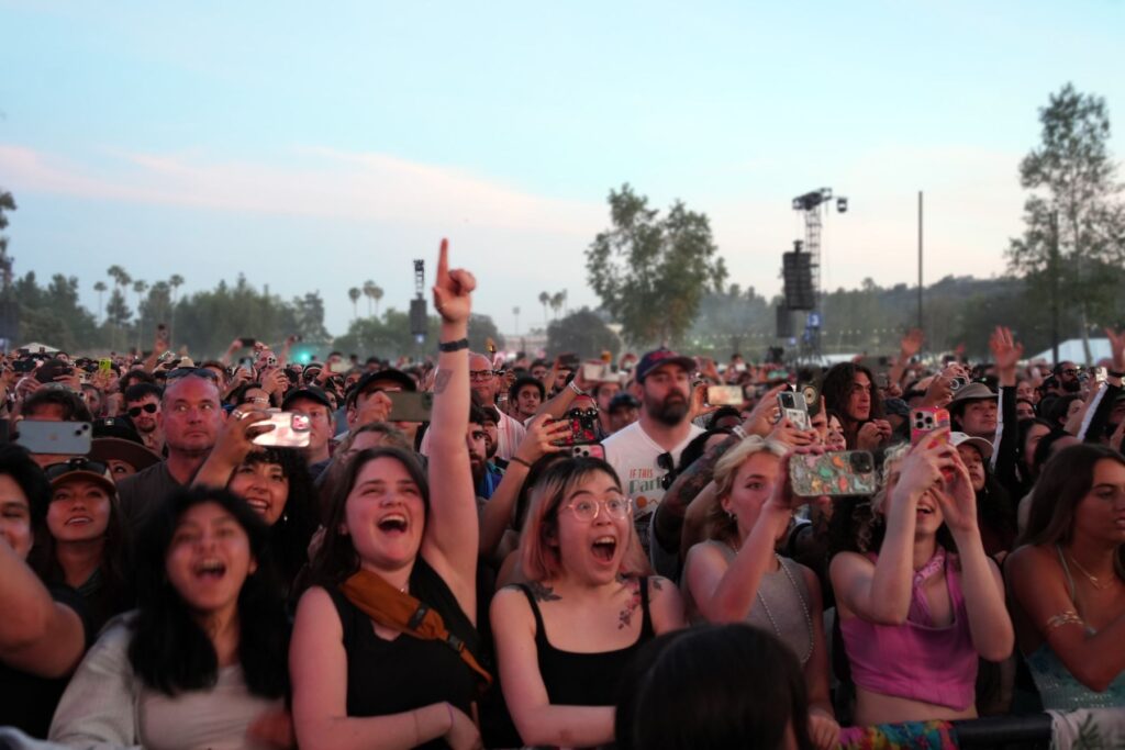 crowd at concert festival