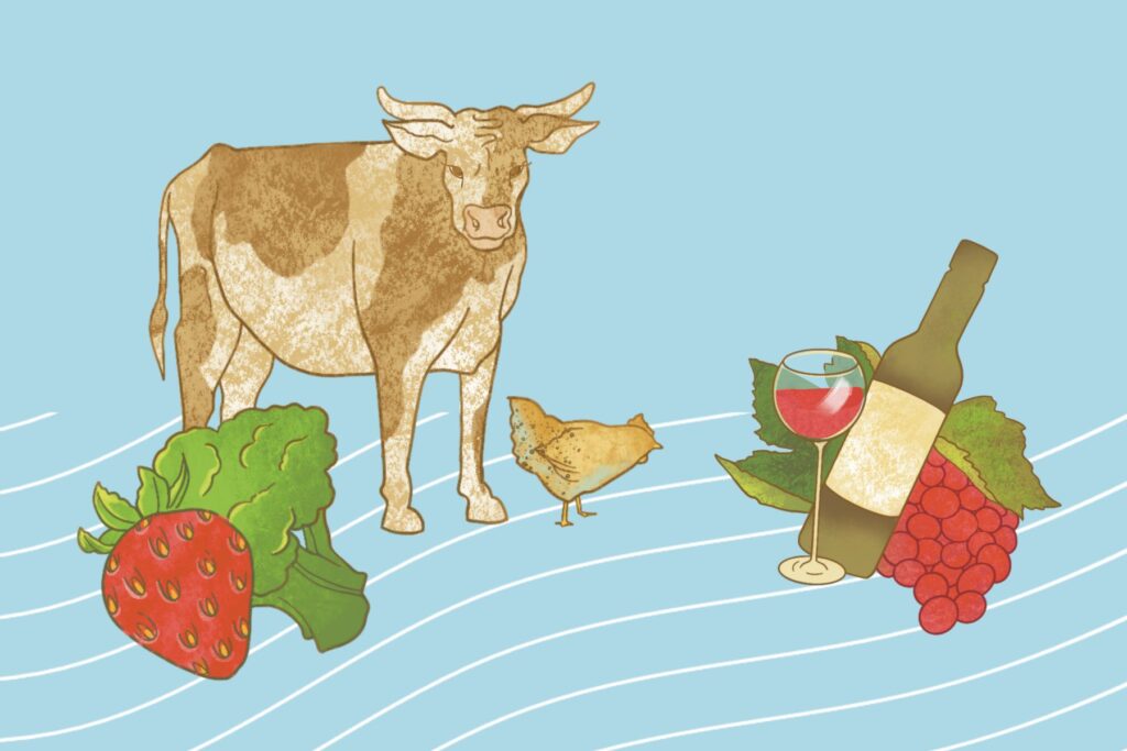 Illustration of strawberries and bull and wine