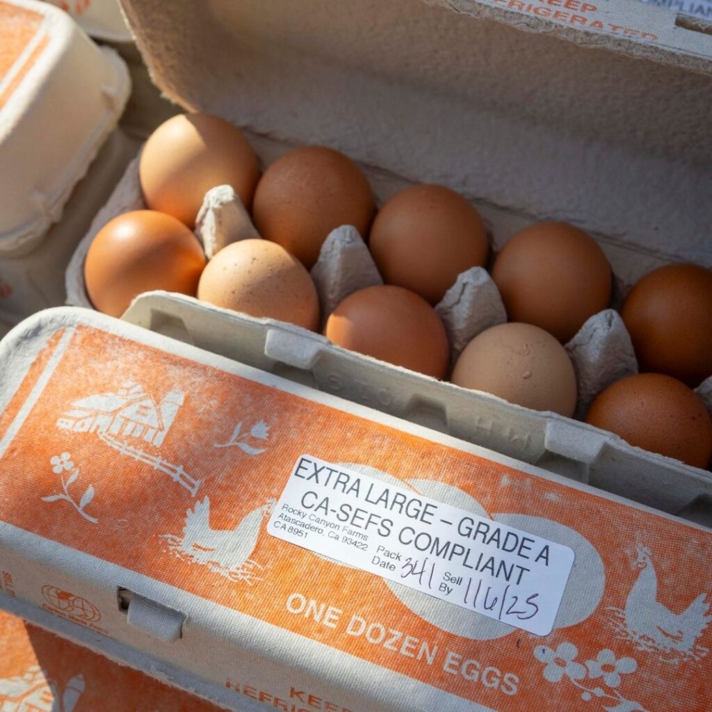 Photo of eggs