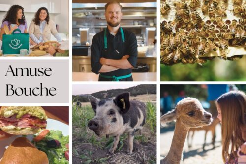 Six photo collage for Amuse Bouche