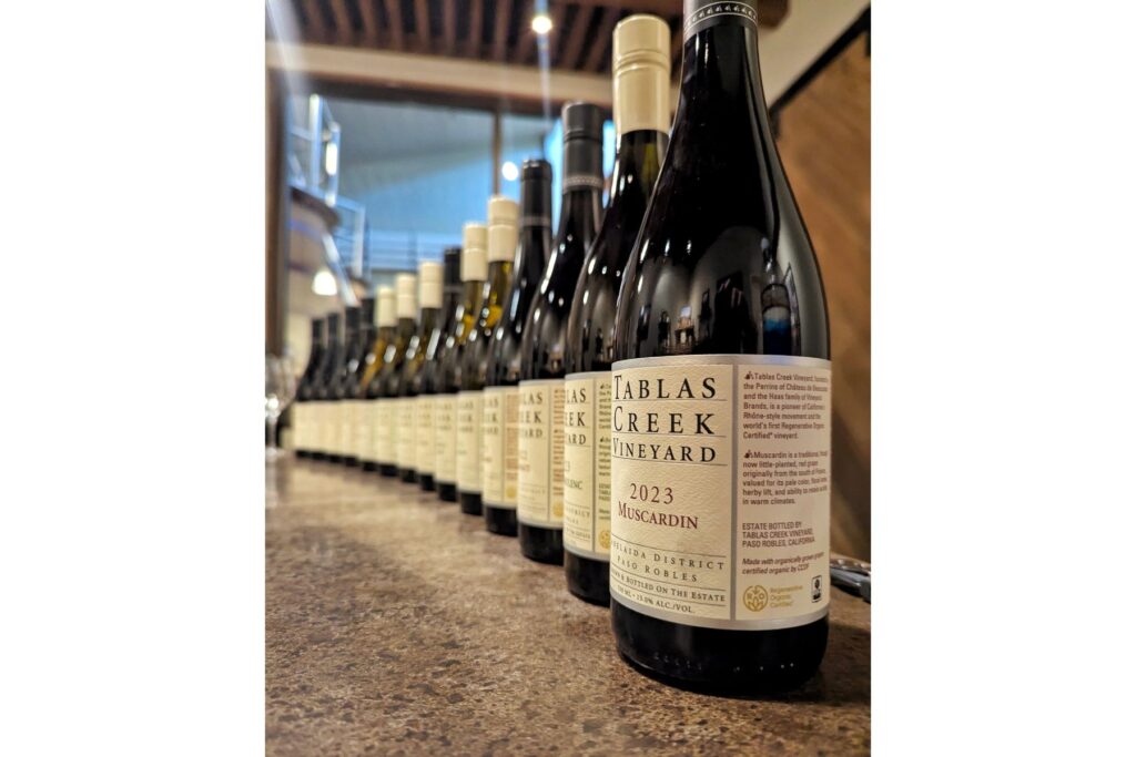 Wine bottles lined up