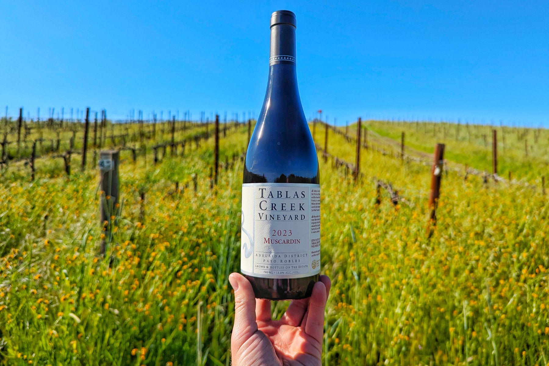 Wine bottle in the field