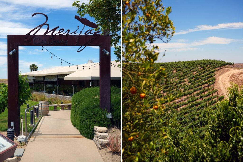 Views of Meritage at Callaway.