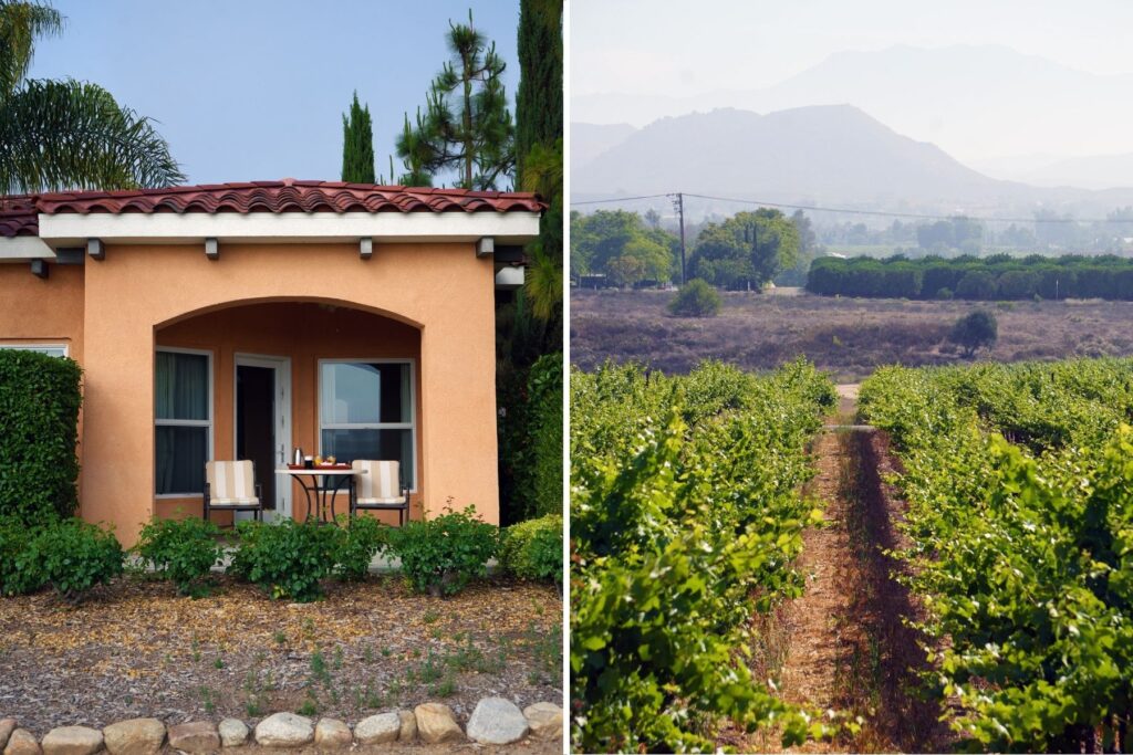 Views from the patio of Carter Estate bungalows.