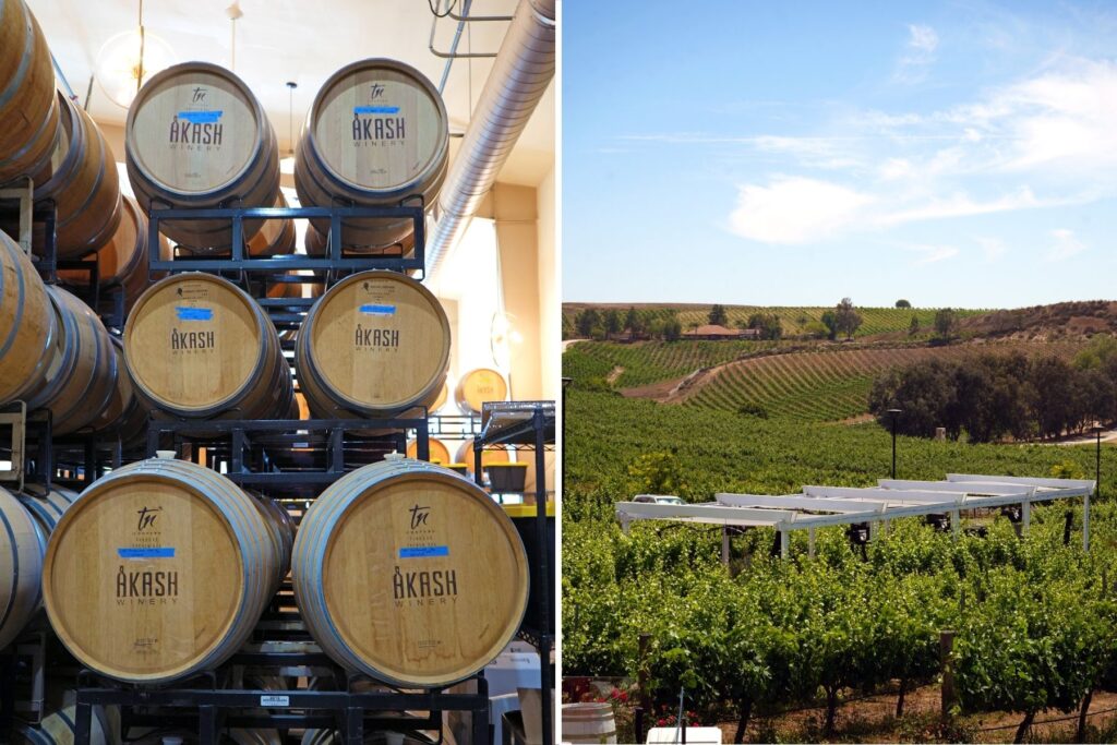 Akash winery barrels and views of vineyard.