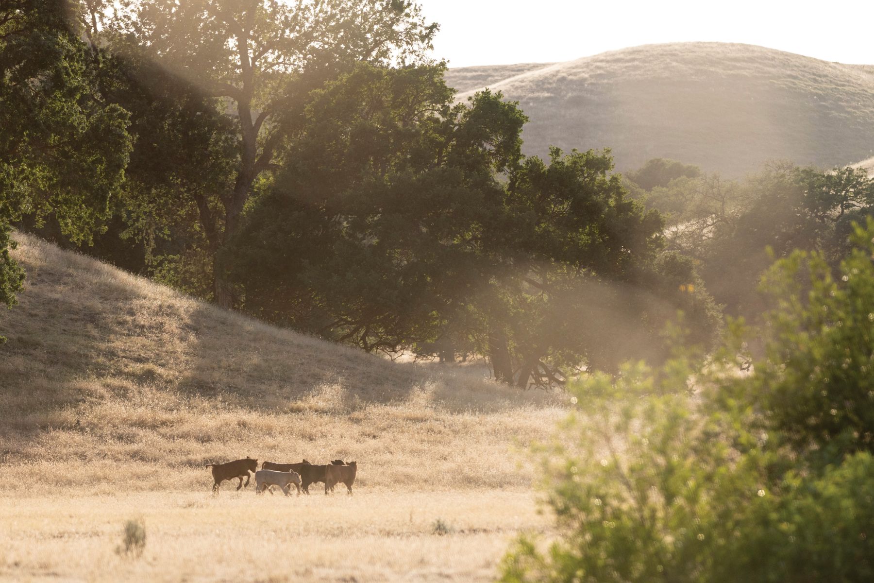 The property of The Loading Chute.