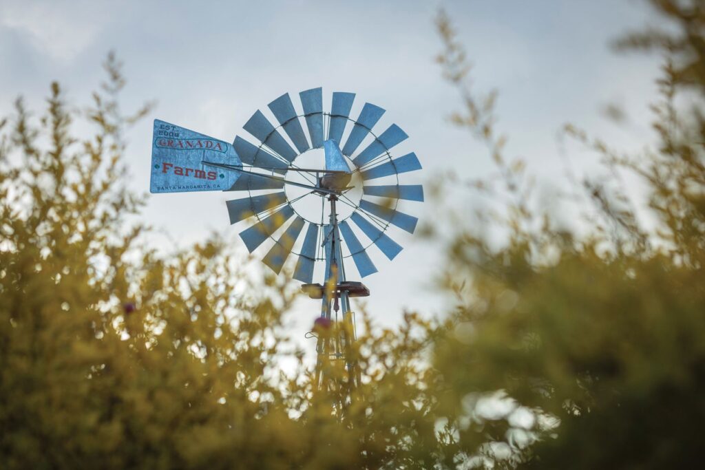 The orchard's windmill stands tall, a welcoming sight for passersby on El Camino Real.