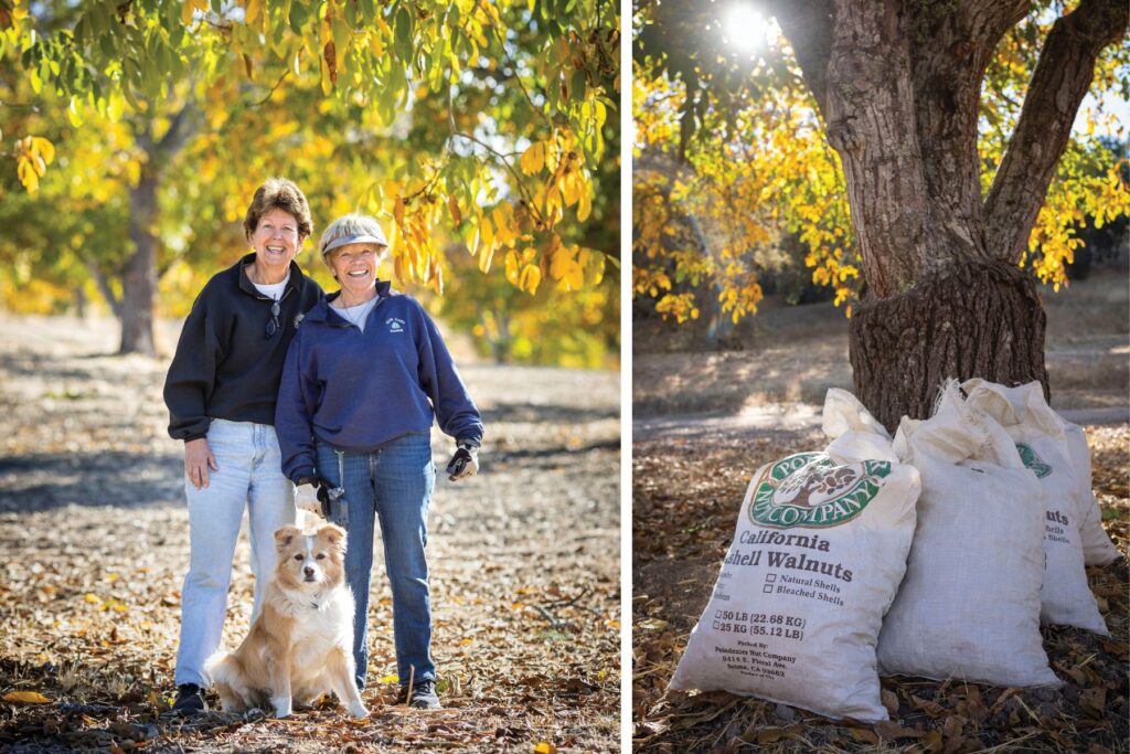 Fair Oaks Ranch Owners