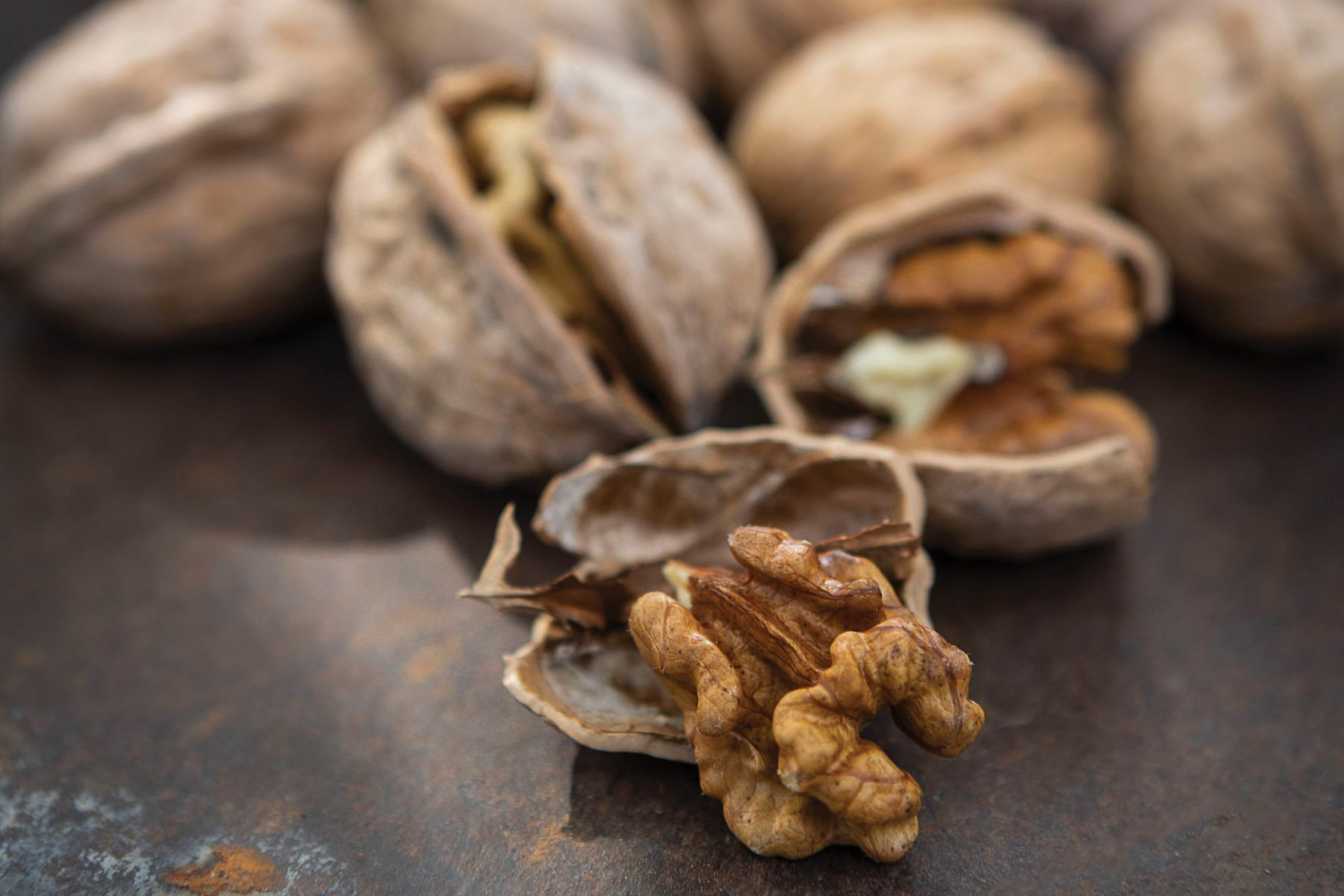 Ripe walnuts just harvested from the tree. The distinctive furrowed brown shell protects the edible nutmeat inside.
