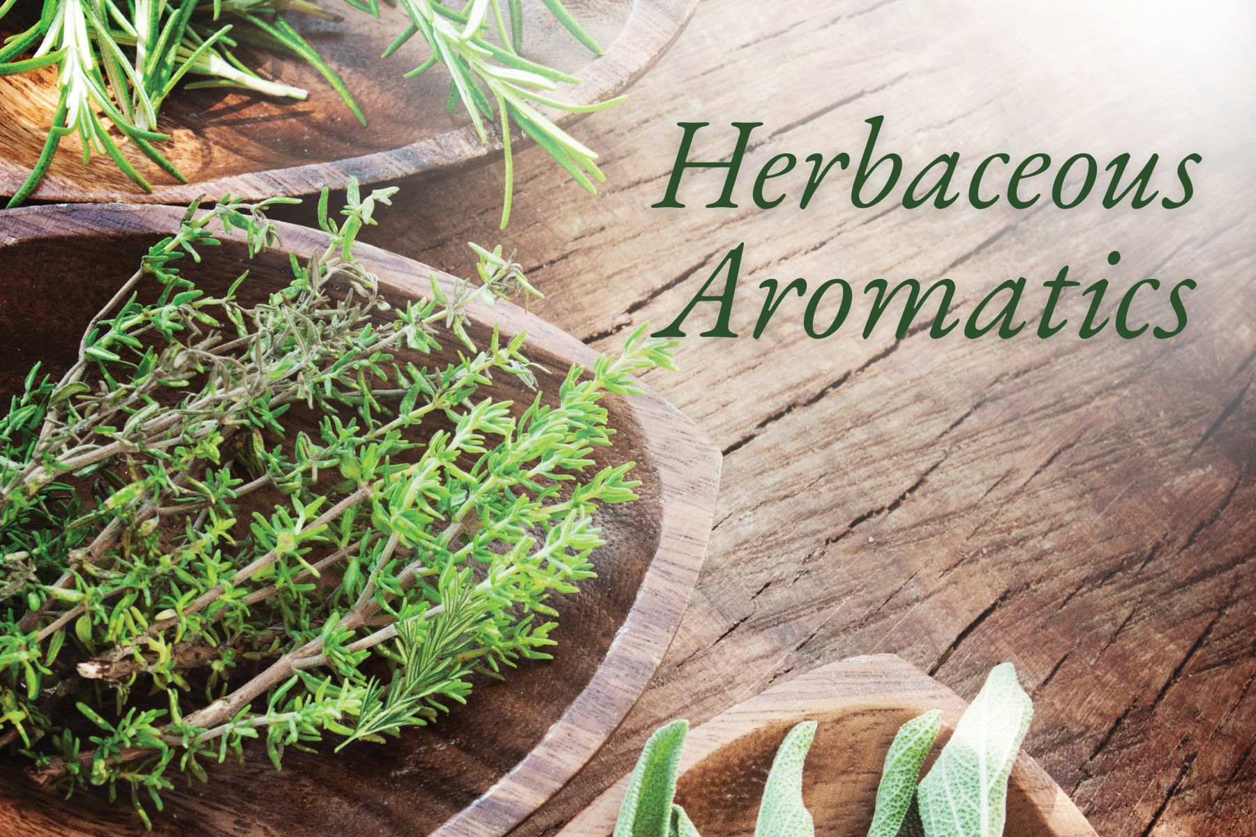 Herbaceous Aromatics