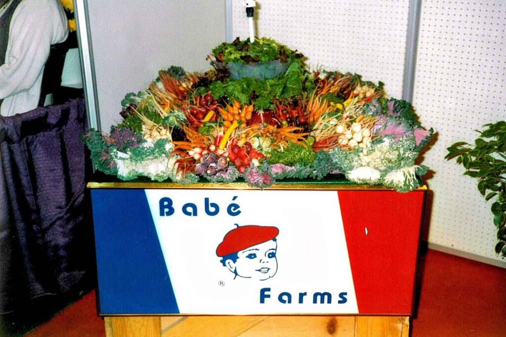 Old photo of the original Babe Farms logo.