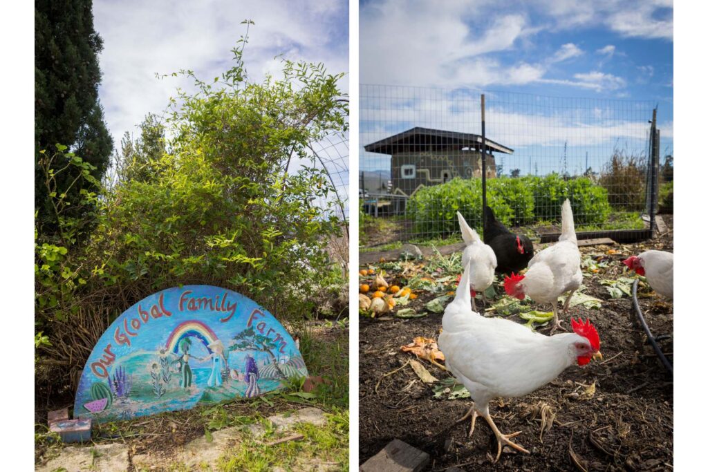 Our Global Family Farm sign and chickens
