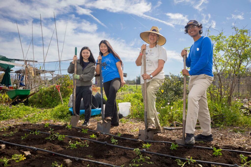 College Corps fellows Alyssa, Indie, Angie, and Saul tackle seasonal projects.