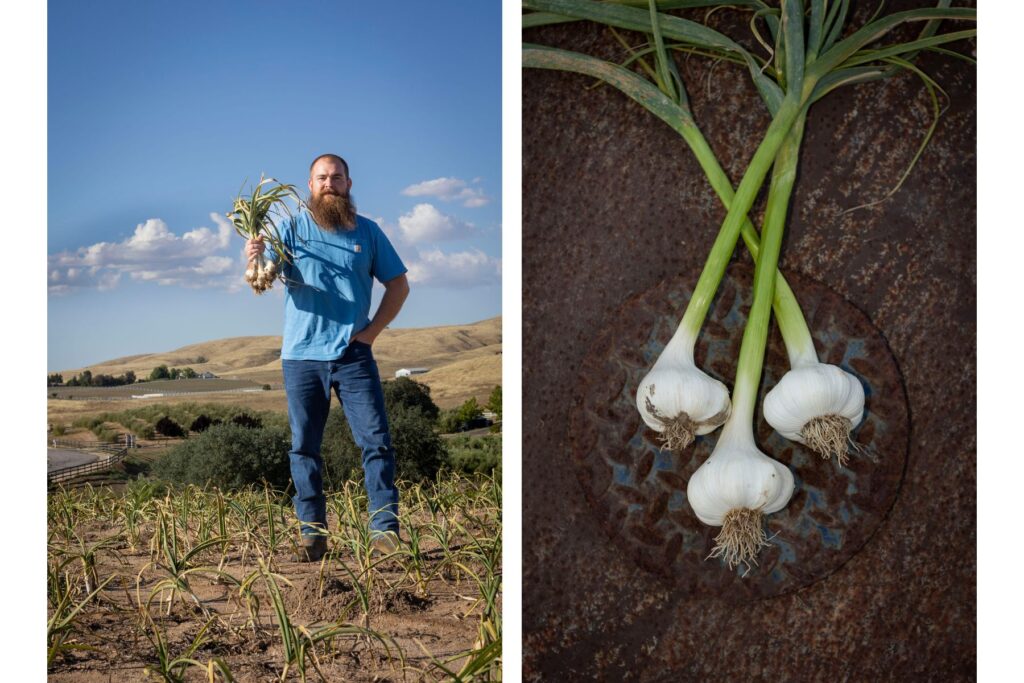 Left: Farm Co-owner Zeb Zak stands on 13 acres of farmland. He and his wife, Co-owner Kaitlyn, often joke it is a vampire-free zone due to years of garlic production. Right: Garlic fresh from the ground, its papery skin still dusted with soil.