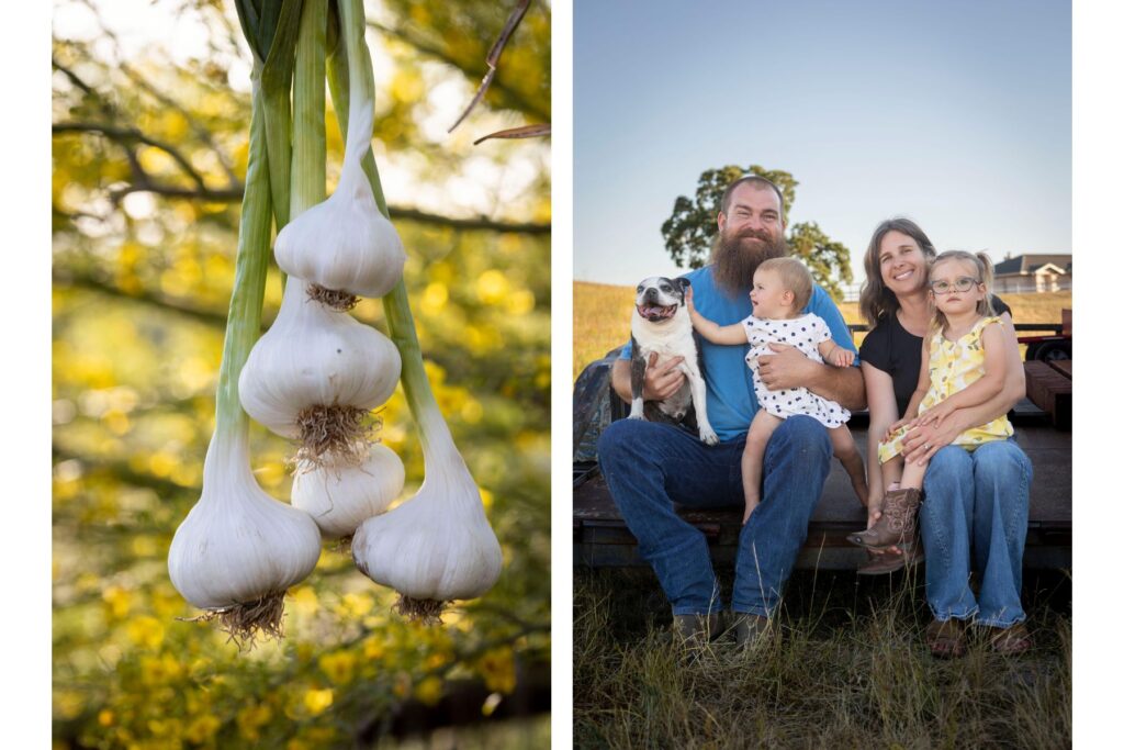 Zeb also preserves the garlic, garlic scapes and nopales leaf through fermentation and natural pickling.