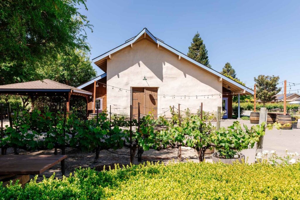 The completed straw bale winery and garden today--a landmark recognized for its sustainable construction and natural insulation.